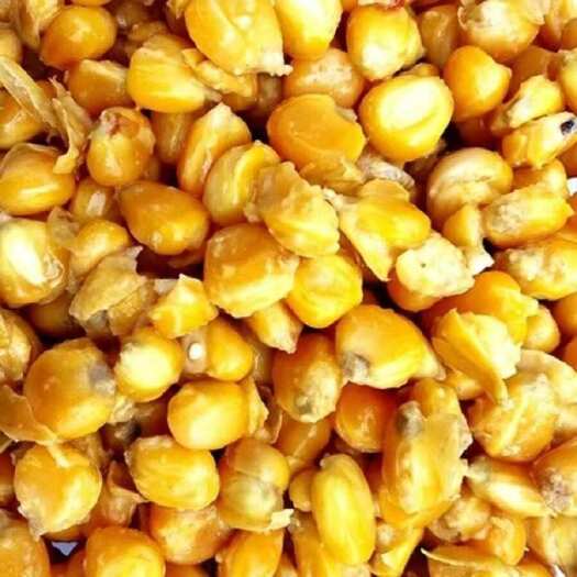 昆明贵州酒糟饲料 多种畜禽鱼类通用 快速发货 呈贡区