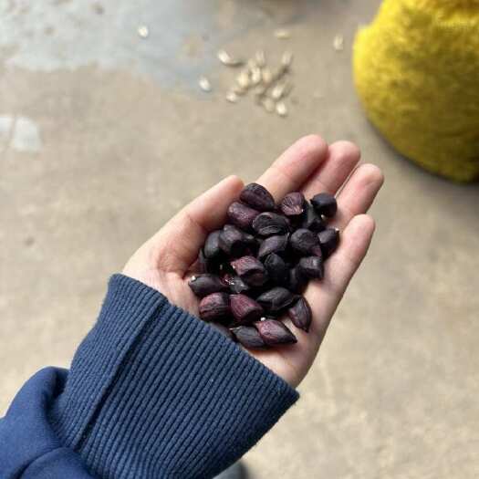 孟连县富硒黑花生产地孟连直发 老奶严选