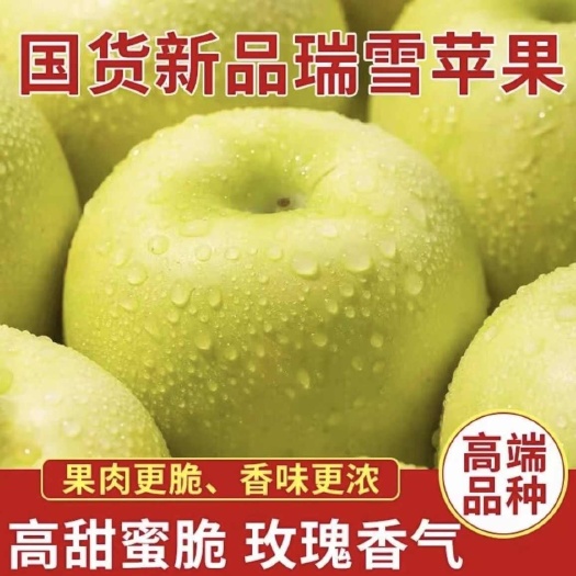 【顺丰速运】陕西特色瑞雪苹果青苹果新鲜脆甜可口孕妇水果