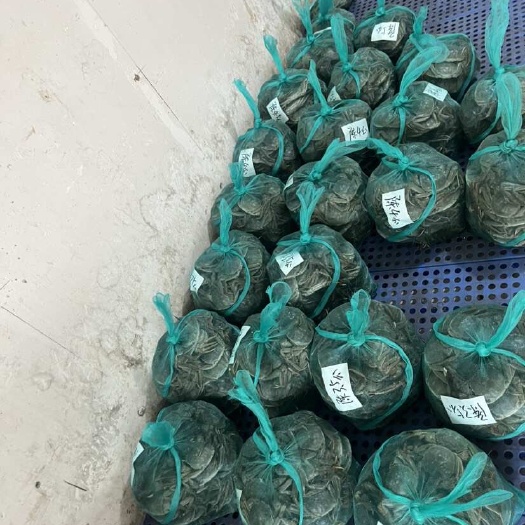 南京固城湖大闸蟹螃蟹江苏大闸蟹公母蟹批发