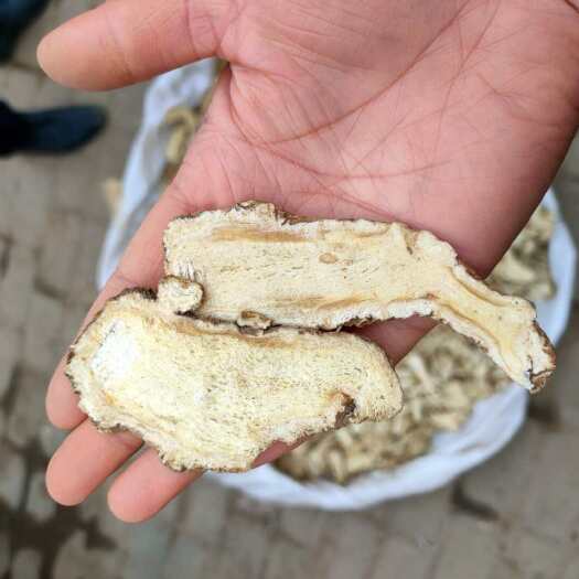 岷县岷当归   当归一精选大条，头片