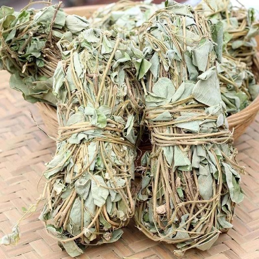 梧州广西大叶金钱草小扎把，新鲜干货