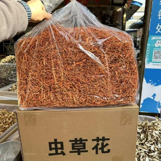 湄潭县批发虫草花