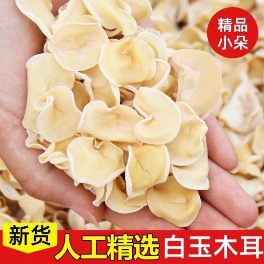 东北白玉木耳干货 泡发率13 大小均匀黑斑少 品质保证白木耳