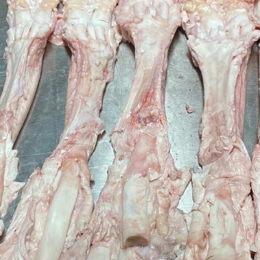 牛蹄筋生主筋大量加工，饭店火锅店专用食材，厂家直销，手续齐全