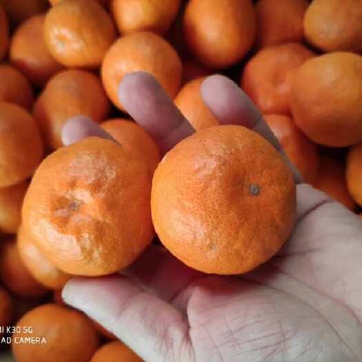 临海市涌泉高山甜蜜桔无核精品果自产自销每箱10斤新店优惠