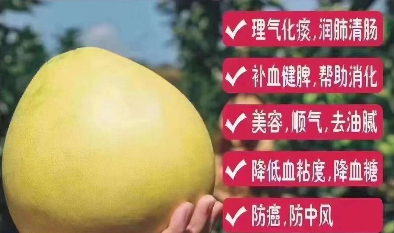 琯溪蜜柚 2斤以上