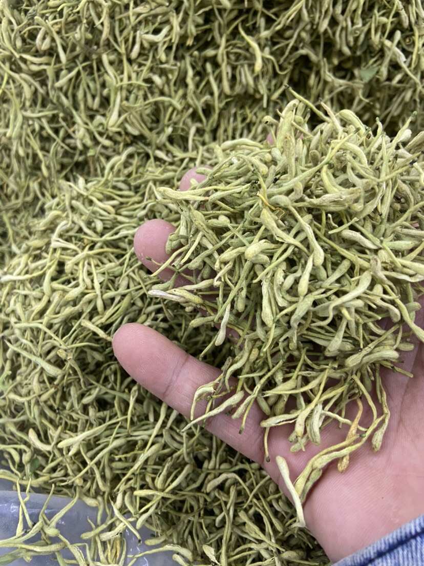 【批发联系商家】金银花 优选青花 金银花茶 包邮