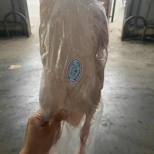 新鲜鸭肉 禽畜活鸭现杀发货 农家散养