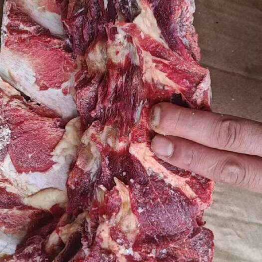 阳信县牛   上脑骨，肉多