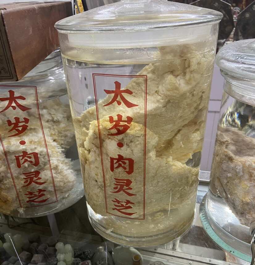 【批发联系商家】肉灵芝  太岁  可食用 药用