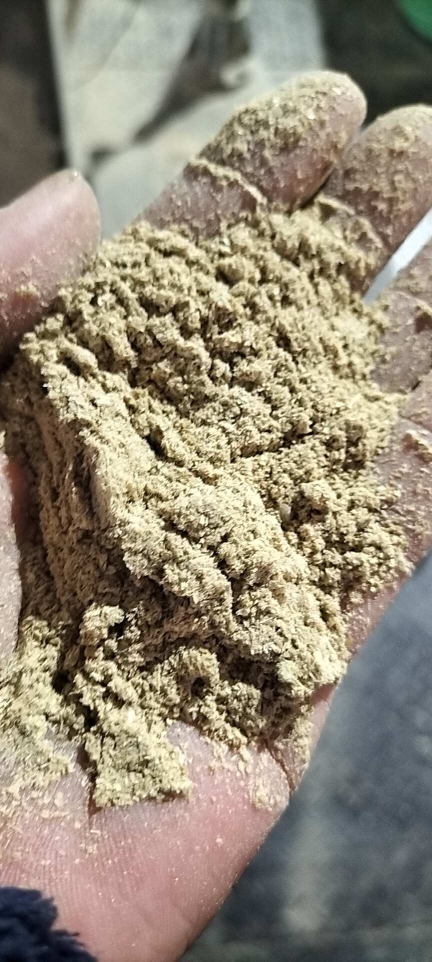 三七糠 颜色好 油脂含量高