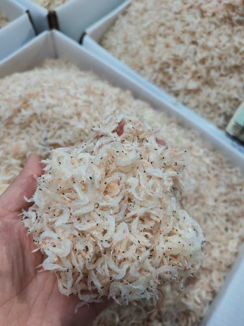 淡干无盐虾皮 常年供货 一点也不咸 一手货源