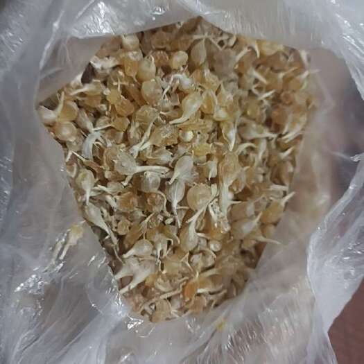 沂南县中药材干薤白