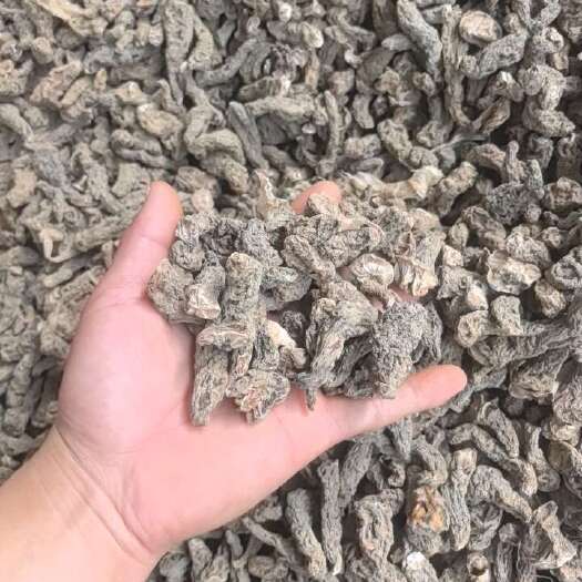 武陟县水洗地黄大量现货