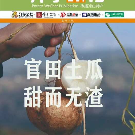 会东县正宗官田土瓜