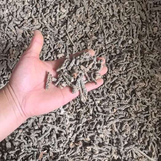 武陟县5级水洗地黄