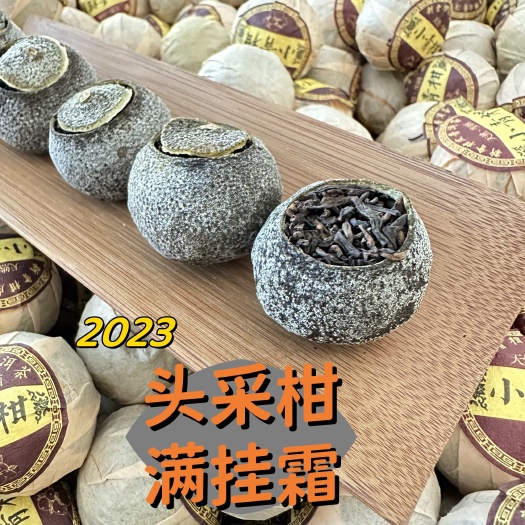 江门新会小青柑 头采柑 青柑普洱茶 柑普茶 普洱熟茶 袋装批发价