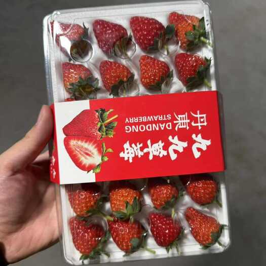 东港市丹东九九草莓可供精品商超渠道线下市场超市批发300g一盒