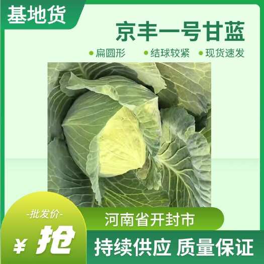 通许县京丰一号，代收代发，质量保证