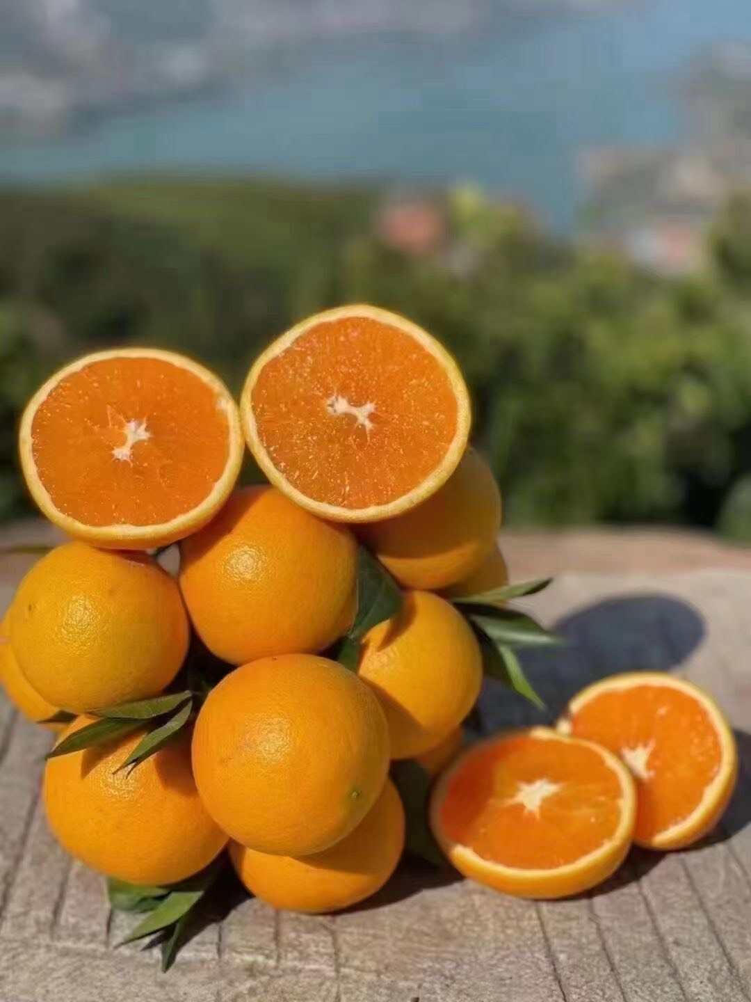 【秭归九月红橙】礼品必选包装精细秋冬佼佼者果肉软嫩多汁包邮