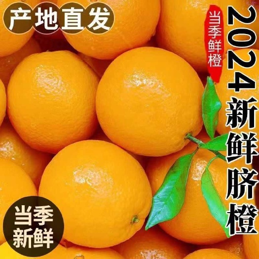 当阳市高山橙子脐橙当季水果新鲜冰糖橙非果冻橙赣南的脐橙孕妇水果榨汁