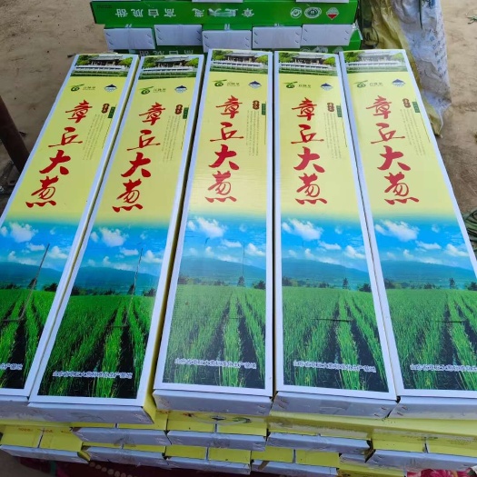 济南新鲜长白大葱 章丘产地直发 山东济南新鲜蔬菜 健康营养