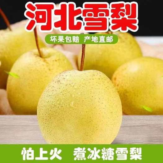 壶关县冰糖雪梨雪花梨河北蜜梨酥梨青皮梨新鲜水果梨
