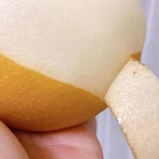 山东莱阳头茬秋月梨产地直发