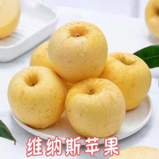 【惊爆价】维纳斯苹果，实惠畅享甜蜜口感