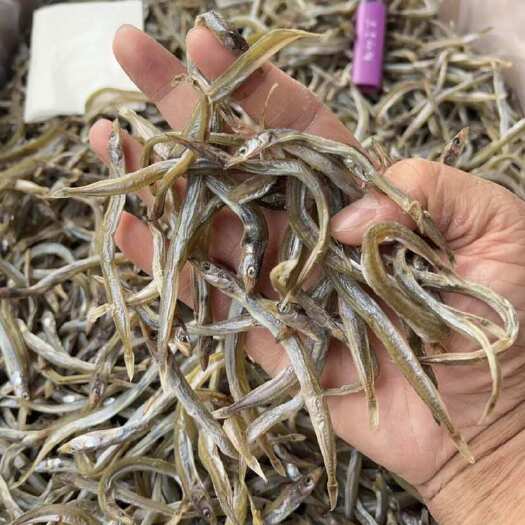 佛山银针鱼 地摊 电商 批发 鱼干 干鱼 干银针鱼 银针鱼干