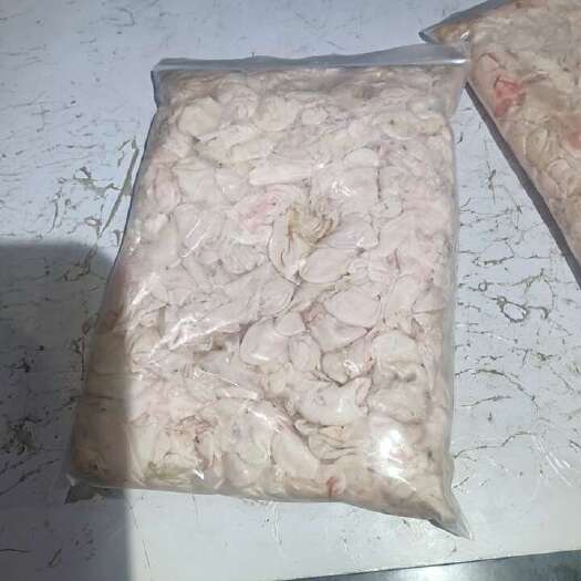 榆中县兰州榆中县新鲜鮰鱼  环保绿色