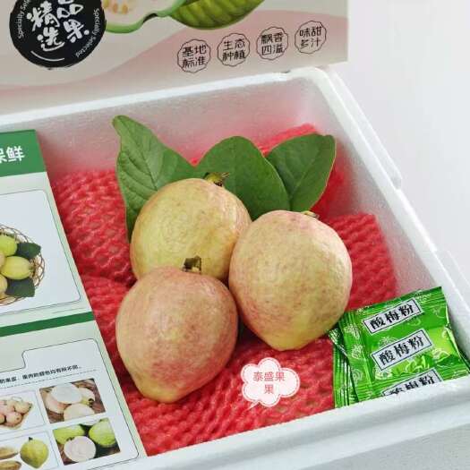 广州靓果番石榴