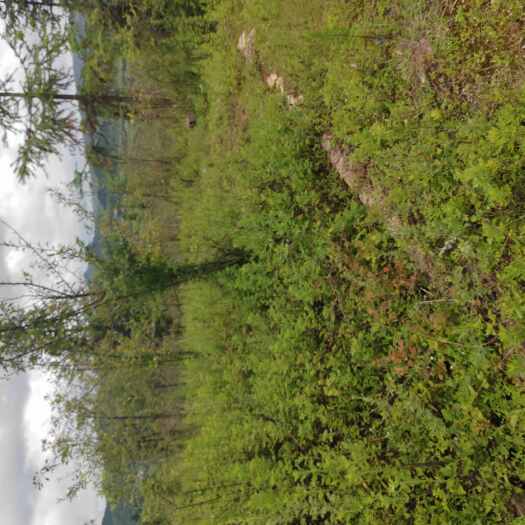 泸西县山地