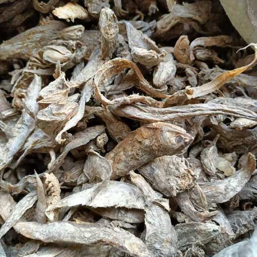海兴县优质蛋白补充饲料级海水鱼杂鱼干