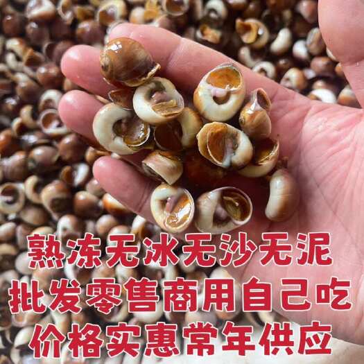 鲜活红香螺可吐沙发货批发零售捞汁小海鲜醉香螺捞汁香螺