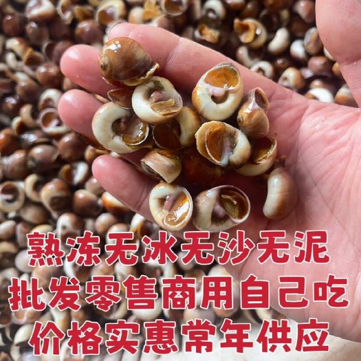 连云港鲜活红香螺可吐沙发货批发零售捞汁小海鲜醉香螺捞汁香螺