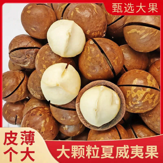 耿马县云南临沧原产地夏威夷果奶香味特大颗粒超大颗粒大量现货低价批发