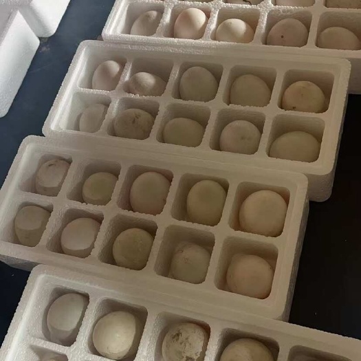 鹅蛋，雁鹅蛋，电商微商一件代发，社区团购，市场批发