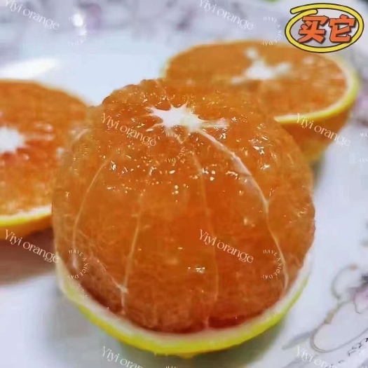 廉江市红江橙