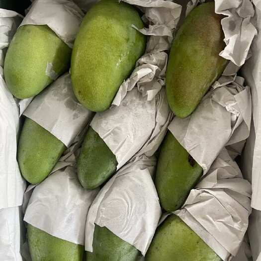 凭祥市越南同奈省大青芒二级