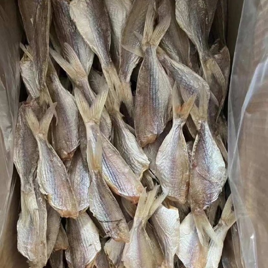 佛山红衫鱼干 北海特产 咸鱼干货 红衫鱼干干 地摊电商批发