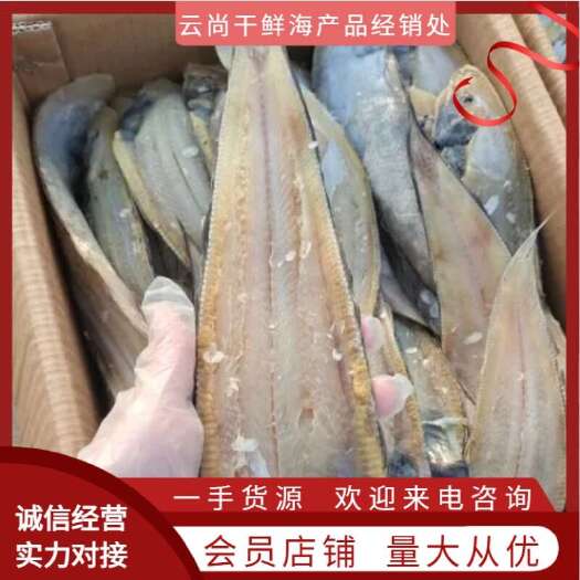 塔米鱼，又名龙利鱼，一款腌制的咸鱼，煎炸蒸炖非常好吃