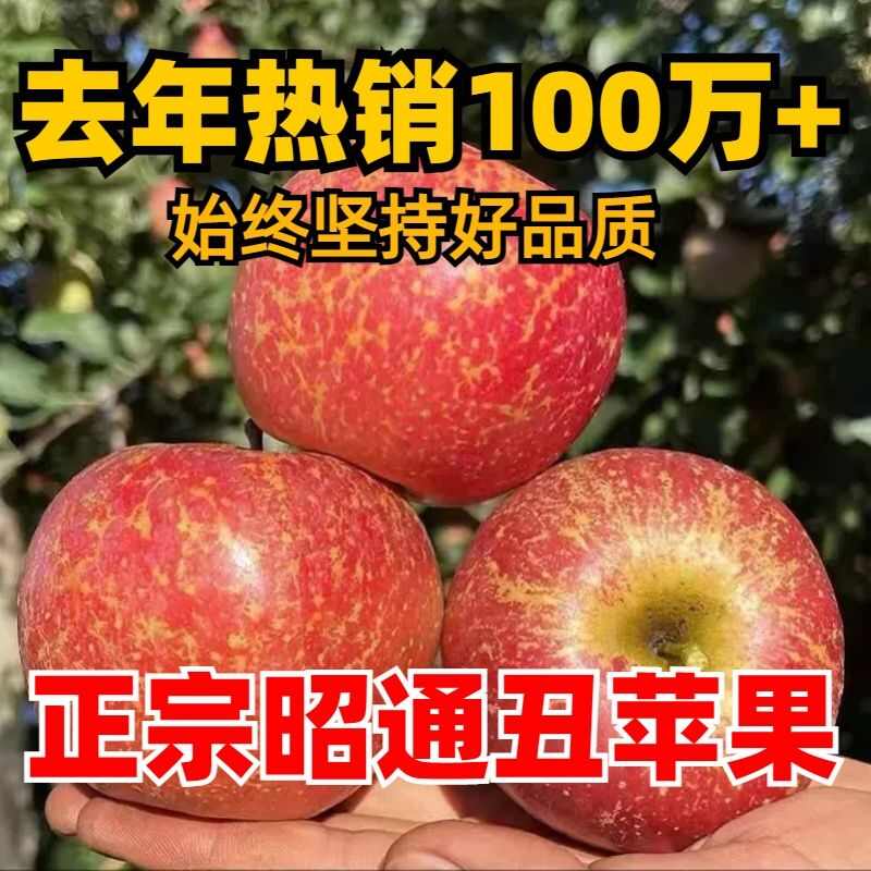 云南昭通丑苹果冰糖心红富士，可批发，可一件代发