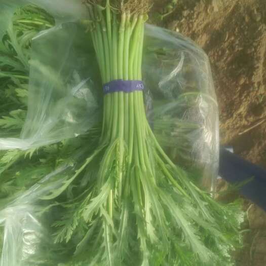 临颍县精品小把茼蒿