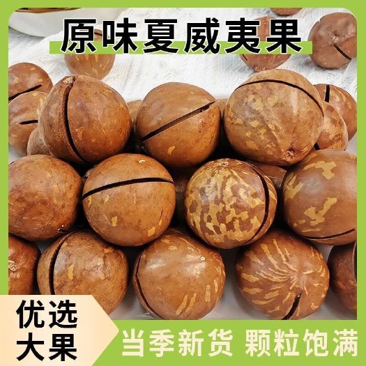 耿马县云南夏威夷果奶香原味超大颗粒原产地批发24年新货摆摊销售商品
