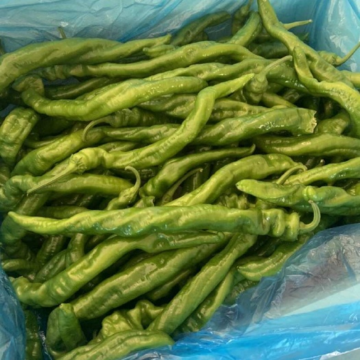 费县泡椒，螺丝椒，线椒