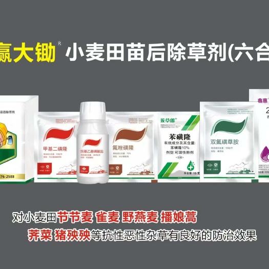 小麦除草剂套餐:小麦苗后除草剂（禾阔双除特别针对节节麦）