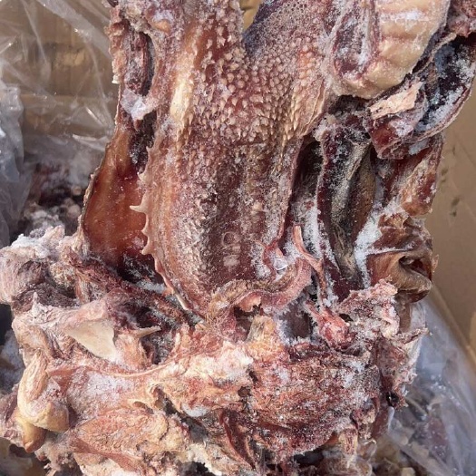 去皮牛头肉 精修去油