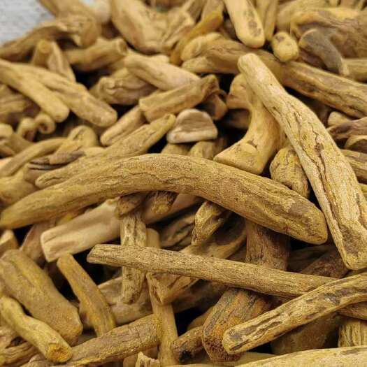 张掖[甘肃]马蹄黄水根出口标准
